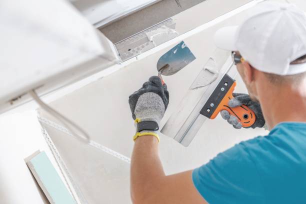 Best Drywall Sanding and Smoothing  in Homeland, CA